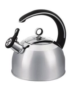Morphy Richards 2.5 Litre Whistling Kettle - Stainless Steel